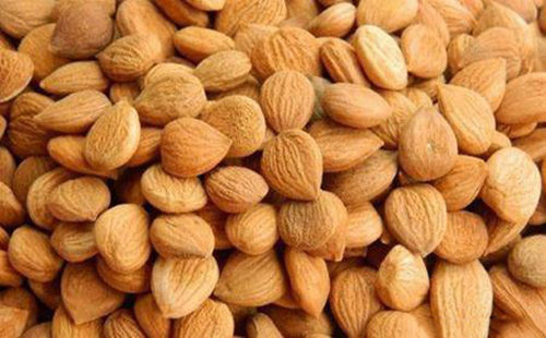 苦杏仁行情深度解析，背景、事件與地位探究