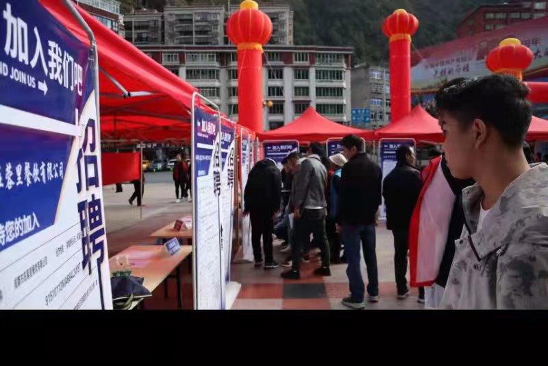 青白江招聘信息探索，小巷中的職業(yè)機(jī)遇