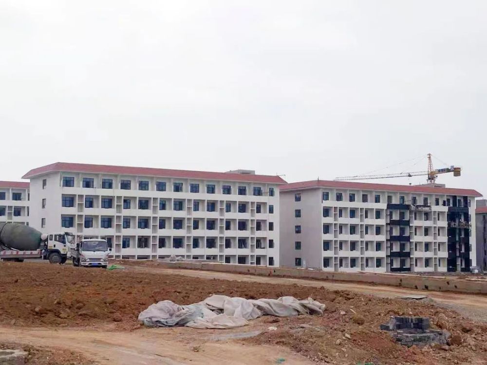 甘谷新聞，大石車禍最新進(jìn)展及觀點(diǎn)論述深度解析