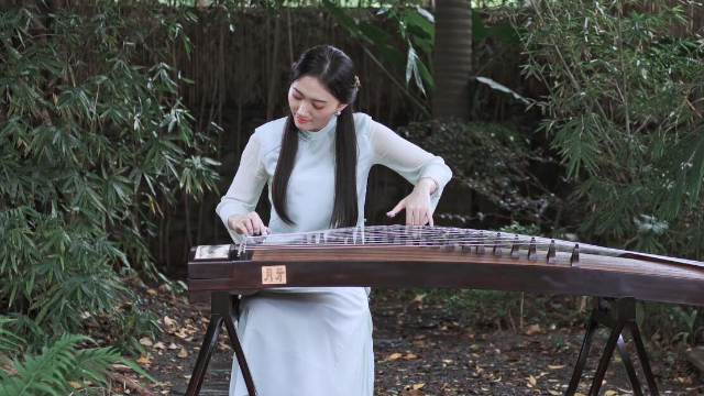 抖音最新琵琶演奏，古典與現(xiàn)代的完美融合之美