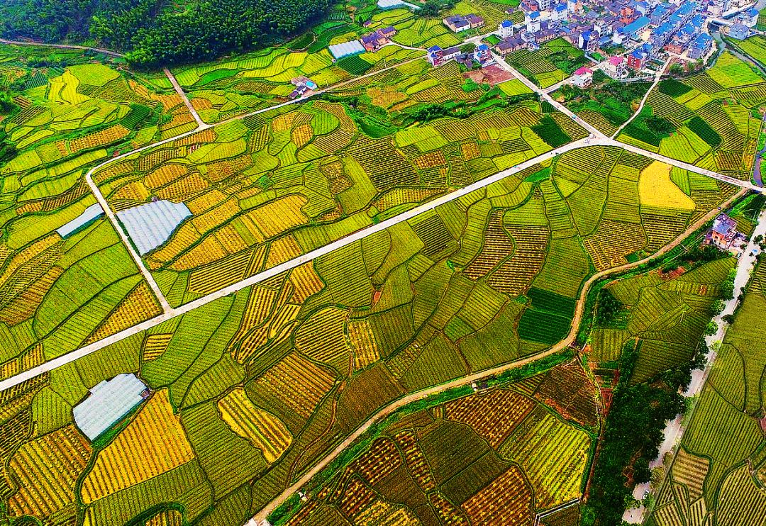 金竹最新規(guī)劃發(fā)布，開啟學習新篇章，培養(yǎng)自信與成就感的源泉