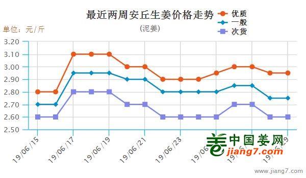 安丘大姜最新行情，機(jī)遇與自我超越的探尋之旅