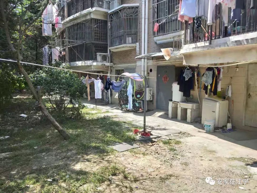 最新大雜亂時(shí)代，混沌與秩序的重建之路