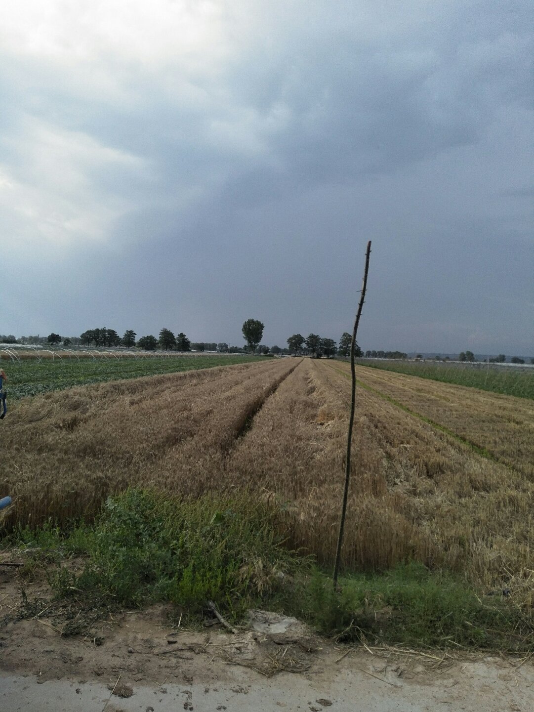 蒲城天氣預(yù)報(bào)，暖陽(yáng)下的友情時(shí)光