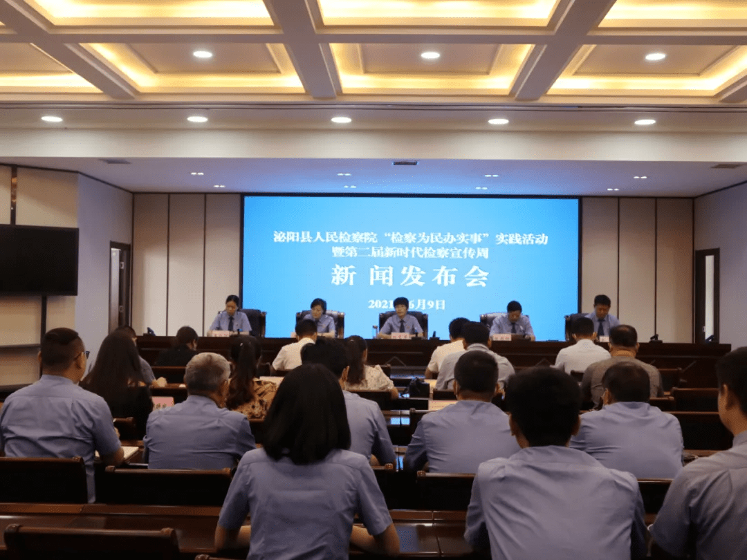 泌陽新聞最新動態(tài)，多元視角下的觀察與思考