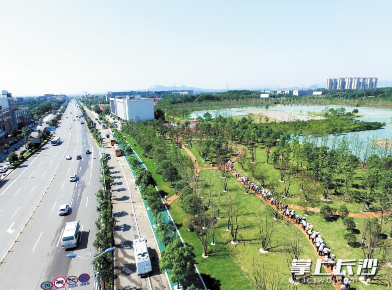 長沙黃橋大道崛起，夢想啟航之路最新動態(tài)