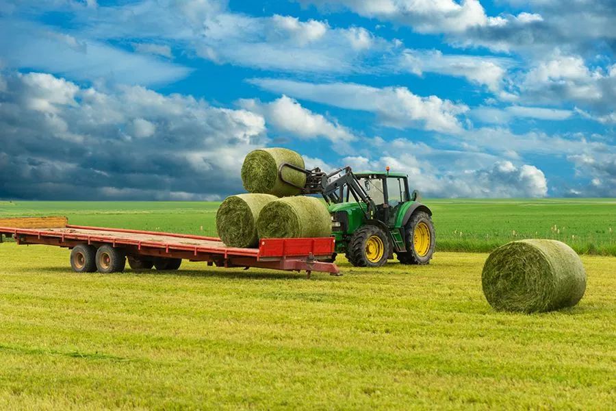 農(nóng)業(yè)最新動(dòng)態(tài)，時(shí)代的脈搏與綠色希望共舞