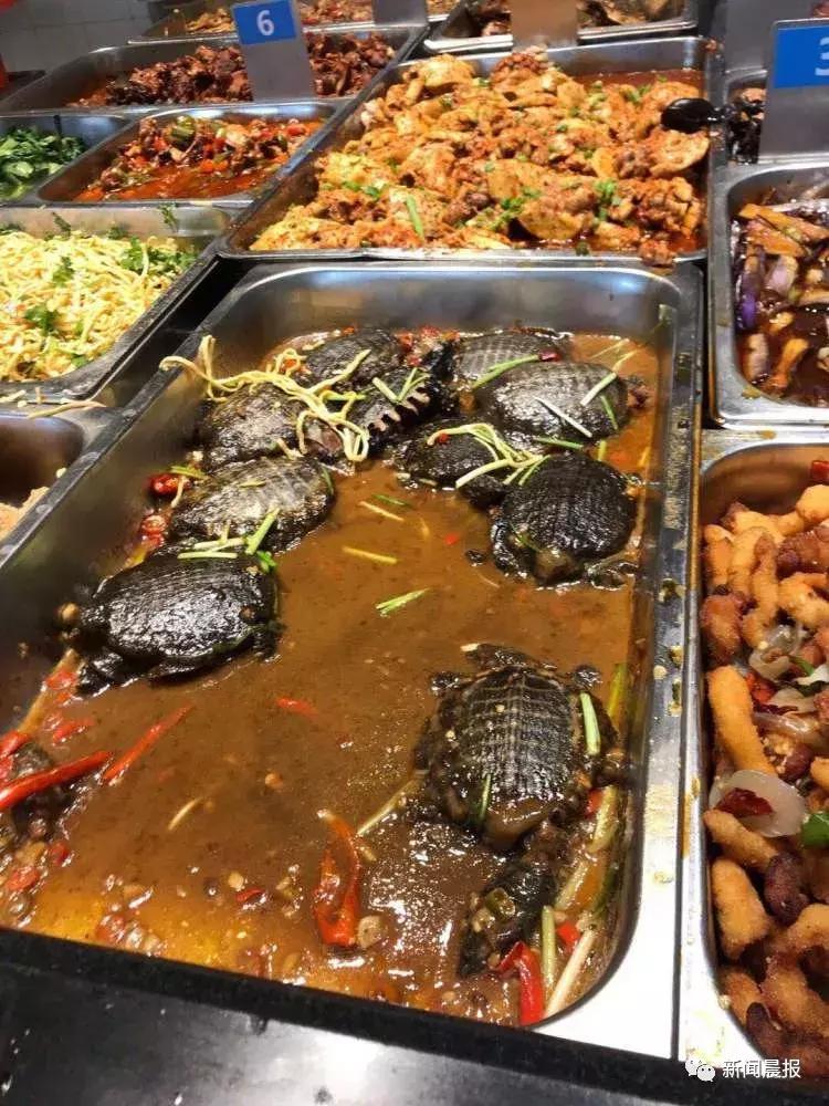 LED光源 第135頁(yè)