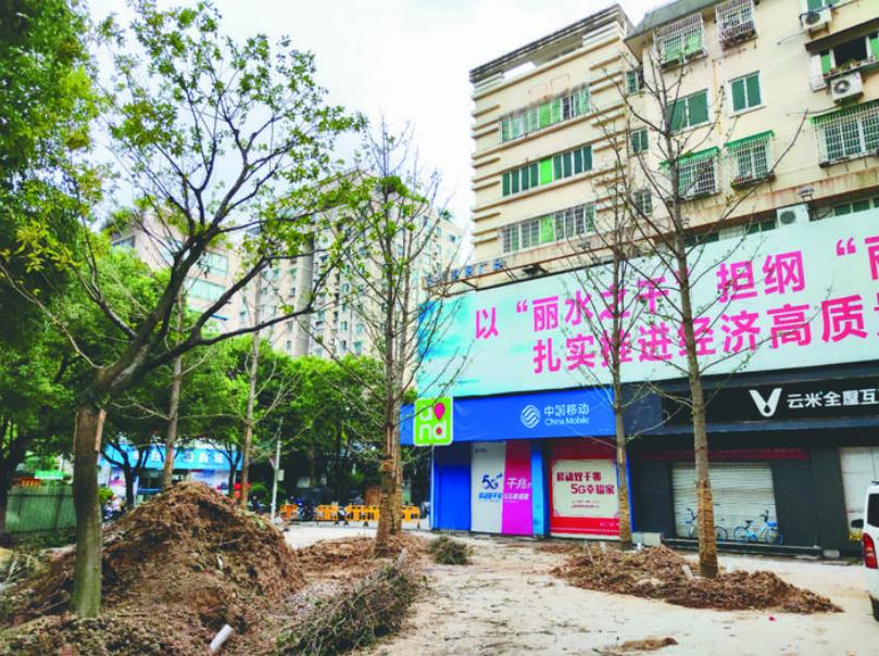 最新吊車網(wǎng)，自然美景之旅與內(nèi)心平靜的探尋