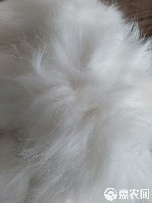 工程廠房燈具 第145頁(yè)