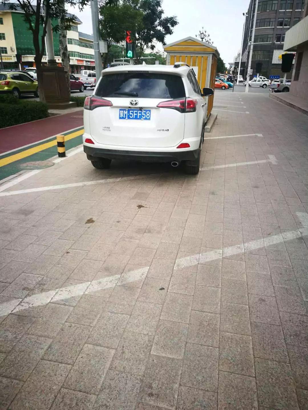 阿左旗最新發(fā)展，時(shí)代之光下的璀璨明珠