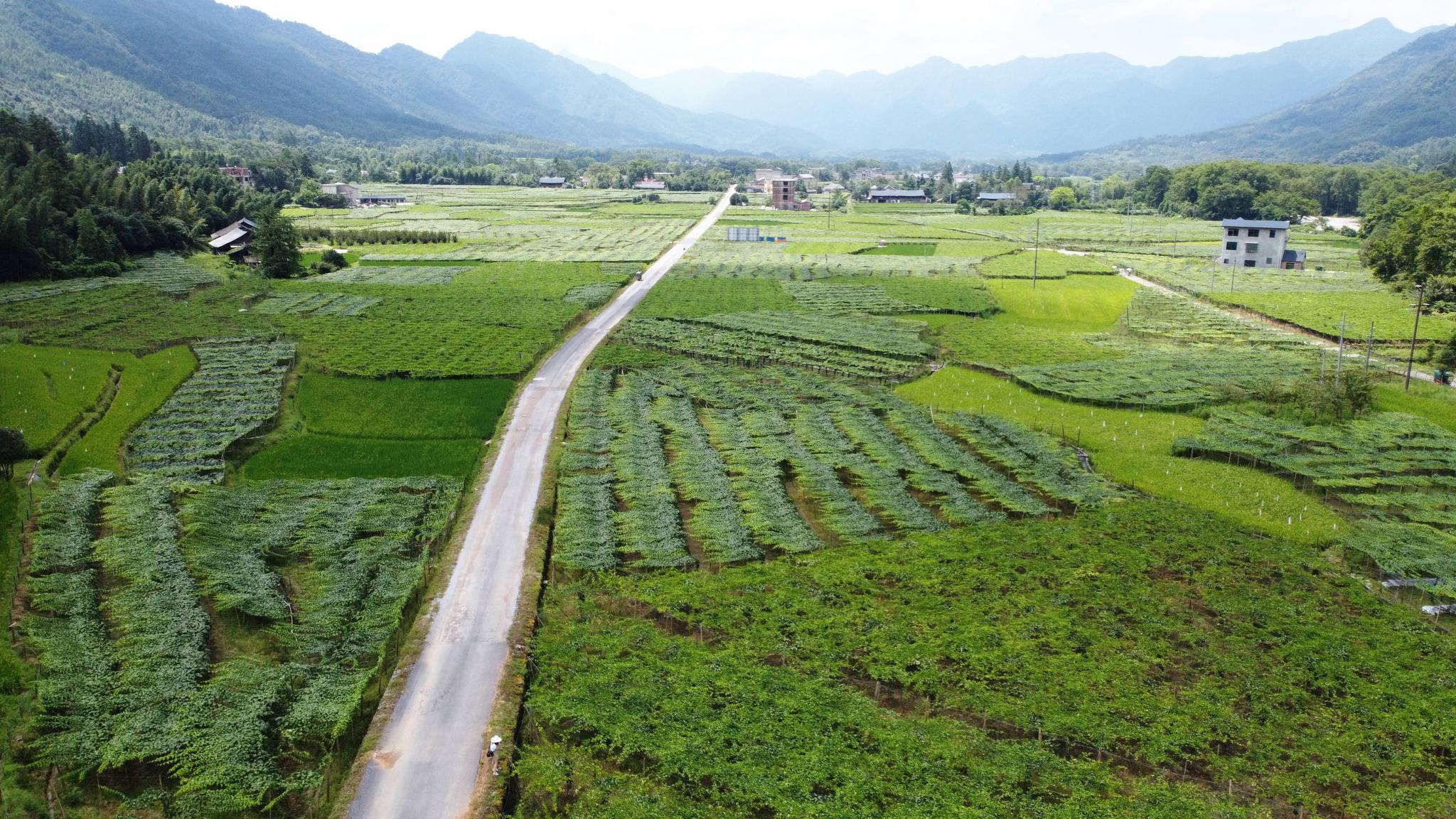 新文村，時代變遷下的文化繁榮與發(fā)展新篇章