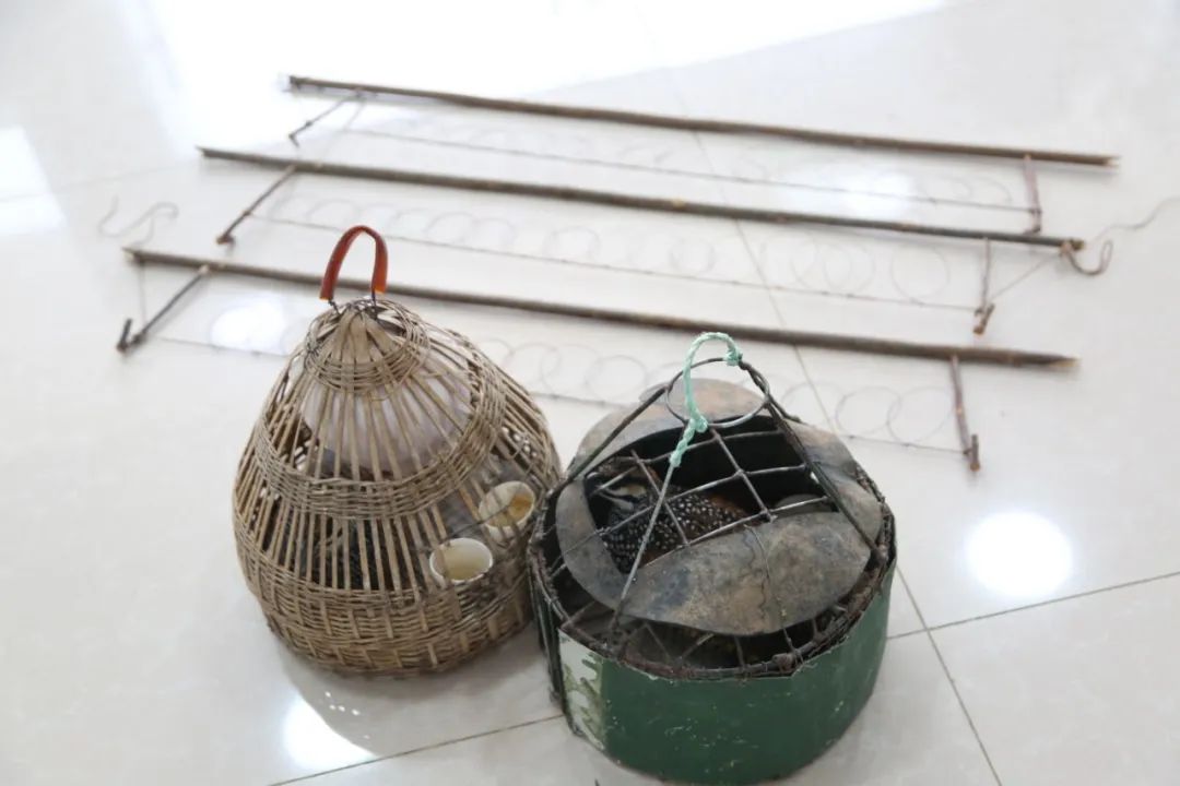 小巷中的神秘寶藏揭秘，最新捕鳥工具揭秘