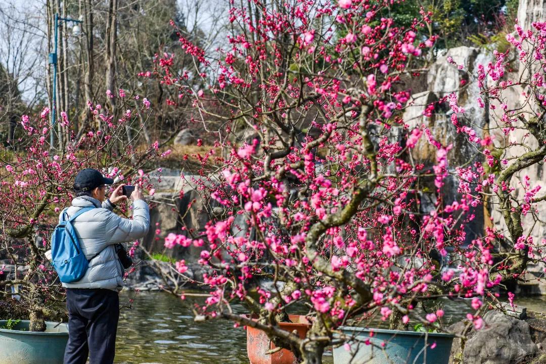 秀麗東方最新動(dòng)態(tài)，啟程探索自然之美，尋找內(nèi)心寧?kù)o之旅