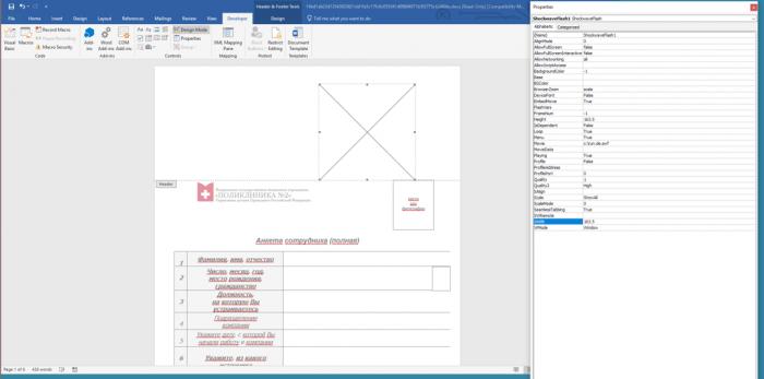 Flash Player官方最新版下載，探索小巷寶藏與特色小店的奇妙之旅