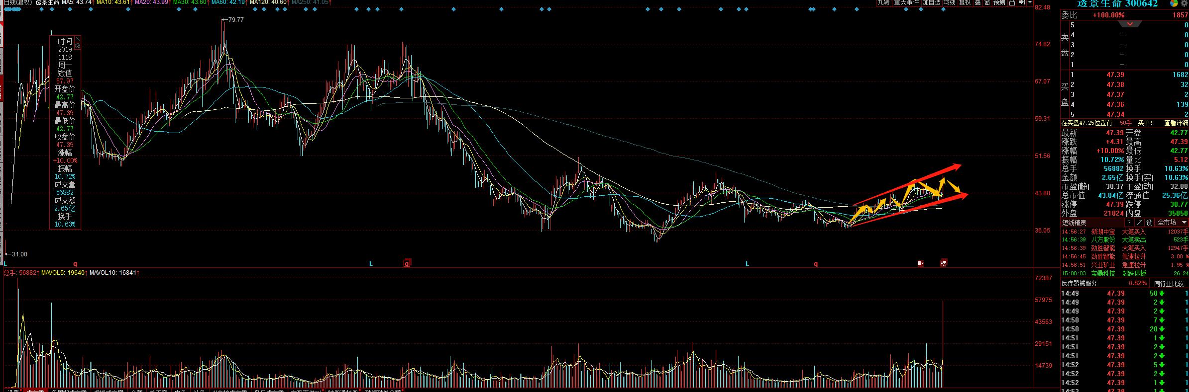 透景生命最新動(dòng)態(tài)，學(xué)習(xí)變化，自信成就未來