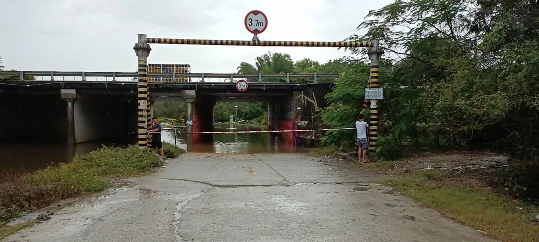惠陽臺風(fēng)最新消息，小巷深處的風(fēng)味秘境