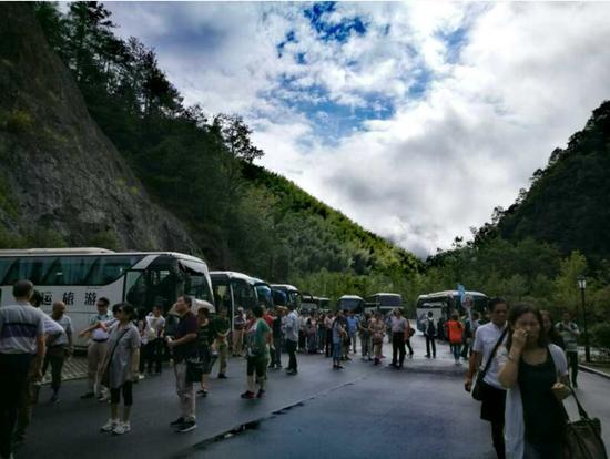 泰順高鐵最新動(dòng)態(tài)更新，最新消息一覽