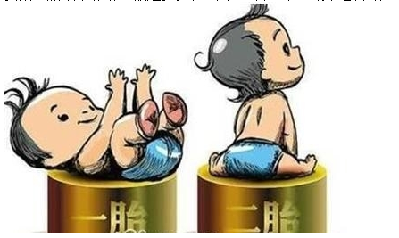 最新雙胞胎補(bǔ)助政策，攜手同行，助力孕育夢(mèng)想之路