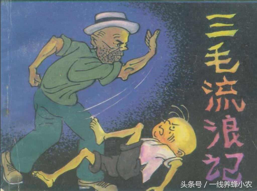 上海三毛最新動態(tài)，自然美景探索之旅啟幕