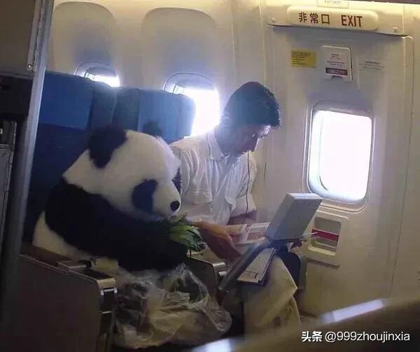 追逐變化之翼，學習鑄就自信與成就——虛幻最新探討