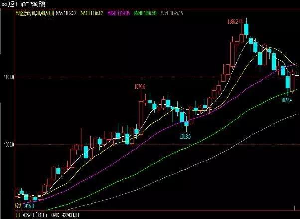 豆油最新行情概覽，市場走勢分析與未來展望