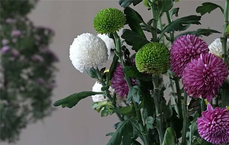 最新娛樂頭條，躍上成功舞臺的魔力之旅，自信與成就感的碰撞