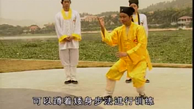 太極最新音樂，傳統(tǒng)與現(xiàn)代的完美融合藝術(shù)展現(xiàn)