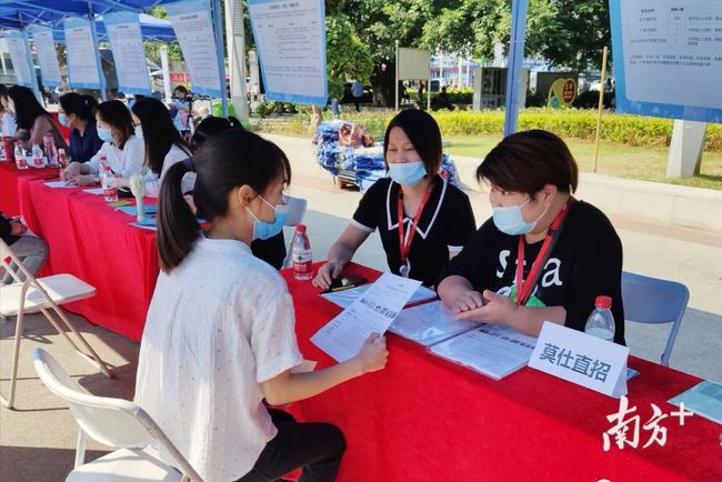 石碣最新招聘動(dòng)態(tài)，把握職業(yè)機(jī)遇，共創(chuàng)美好未來(lái)之路