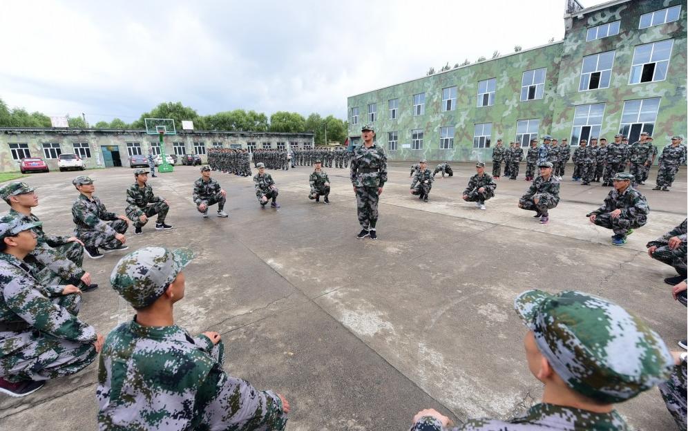 遼寧人才網(wǎng)最新招聘，時(shí)代脈搏與人才匯聚的交匯點(diǎn)