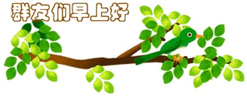 最新清晨祝福短信，晨曦中的溫暖問候，傳遞美好祝愿與關(guān)懷