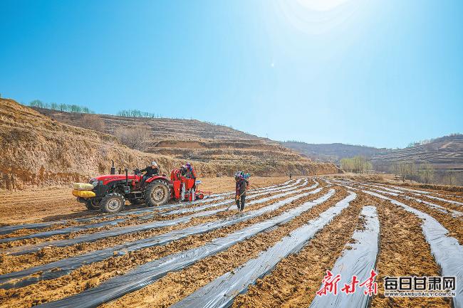 秦安最新新聞，城市溫情日常溫馨小事報(bào)道