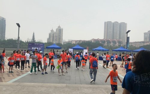 西關(guān)海最新動態(tài)，夏日童趣與溫情涌動