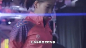 笑斯人最新視頻，日常趣事與友情的紐帶展現(xiàn)！