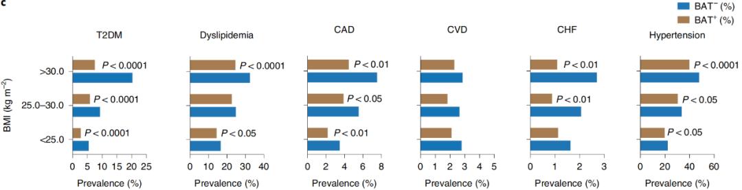 腦疾病最新研究，重塑大腦信心與成就感之路
