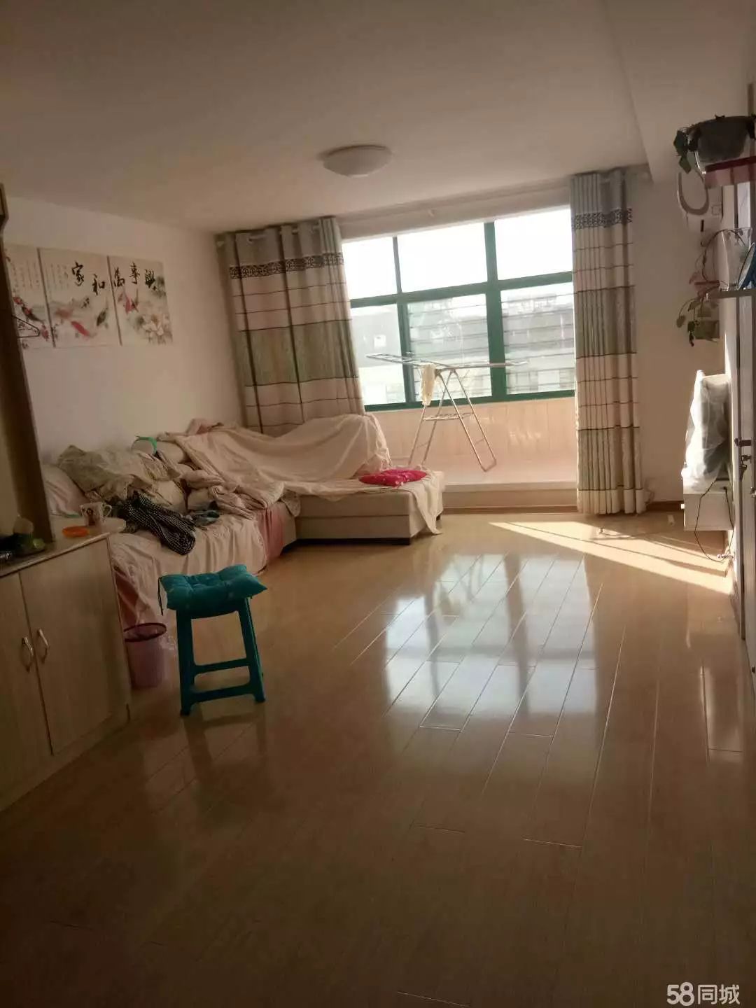 萊西最新個人租房，窗外世界與自我成長的旅程