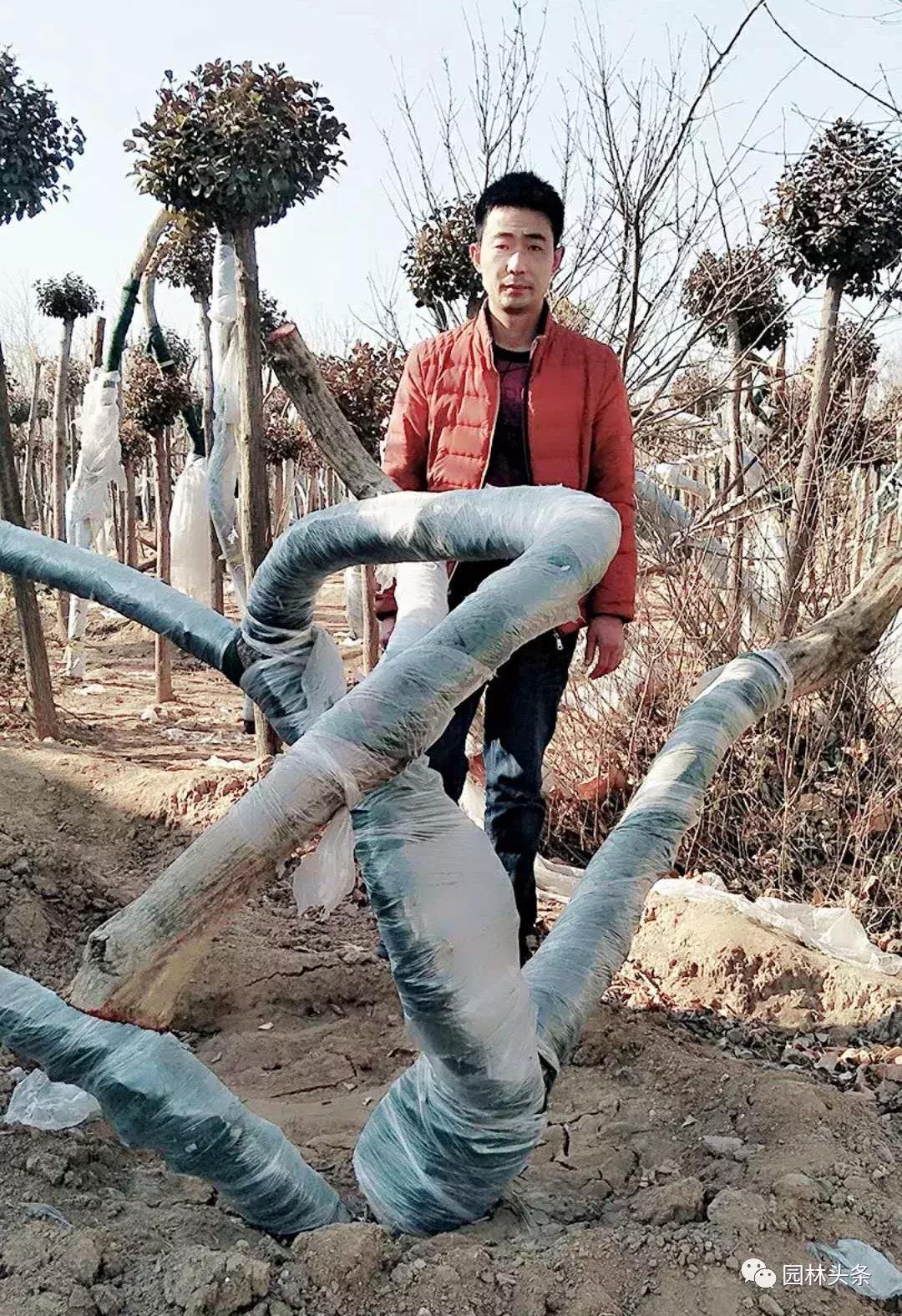 定州最新急招工，時代的呼喚與行業(yè)重塑的挑戰(zhàn)