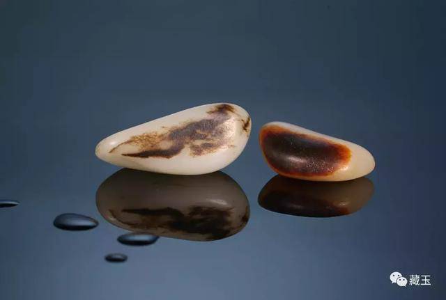 黑皮玉最新動(dòng)態(tài)，神秘魅力升級(jí)，引人矚目?