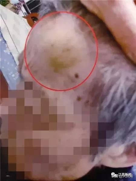 揪脖子最新視頻，探秘小巷風(fēng)情小店，獨(dú)家揭秘！