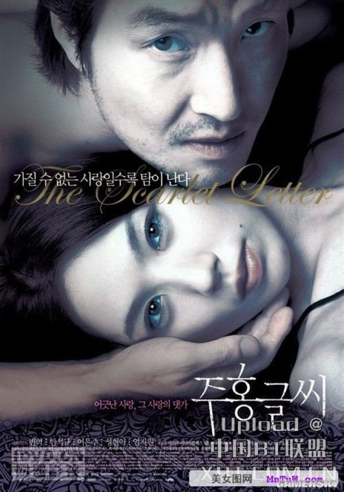 最新內(nèi)地倫理電影探索與啟示，揭示社會倫理的啟示與價值