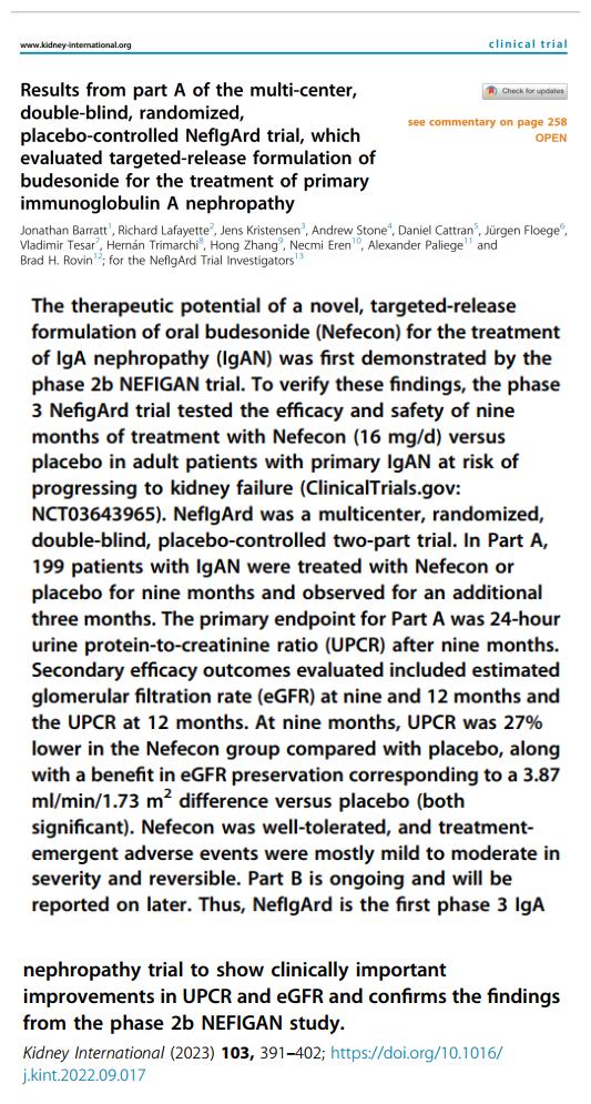IGA腎病最新突破，醫(yī)學奇跡在小店中綻放的獨特魅力