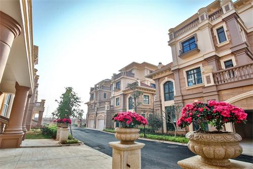 新泰最新樓盤，城市發(fā)展與居住品質(zhì)的新篇章