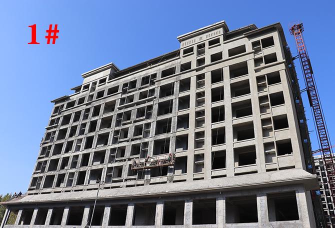 平輿最新樓盤市場(chǎng)現(xiàn)狀與前景展望，深度解析市場(chǎng)趨勢(shì)與發(fā)展前景展望