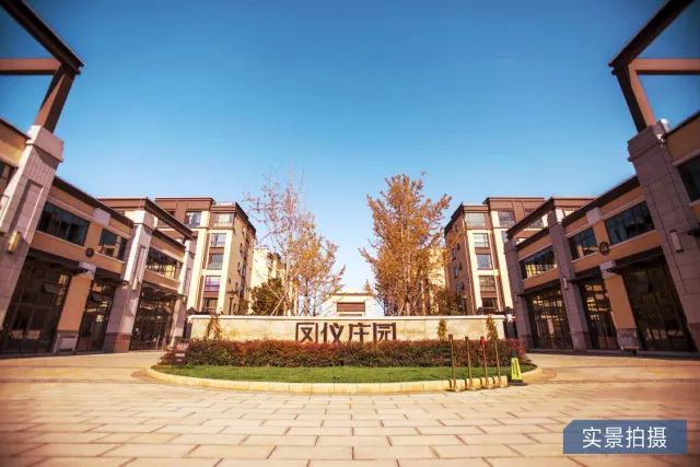 鳳儀莊園最新動(dòng)態(tài)，家的溫馨與友情的綻放時(shí)刻