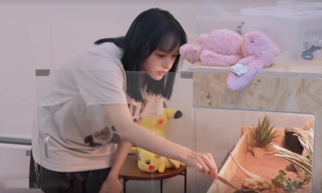 程瀟最新綜藝節(jié)目，心動瞬間，不容錯過！?