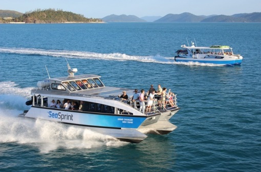 時(shí)代背景下的璀璨星辰，最新號號天堂綜述