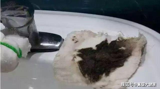 揭秘水污染真相，小杰的河流探索之旅——溫馨河流的秘密揭秘視頻