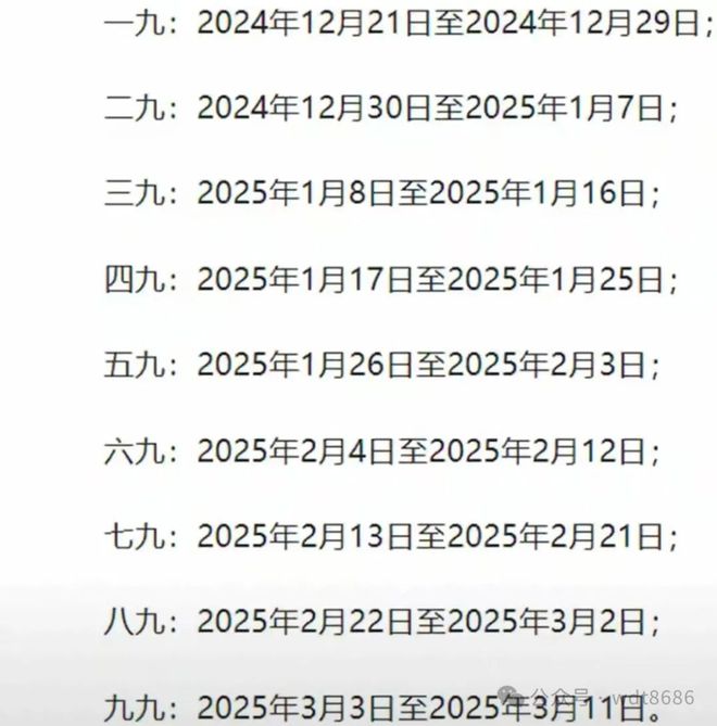 最新久久網(wǎng)2025，友情小船與溫馨日常的交織