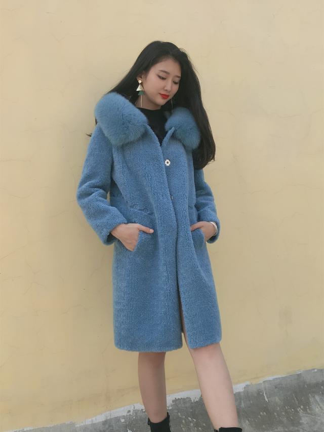 三七花最新價(jià)格揭秘，溫馨小故事中的尋找之旅