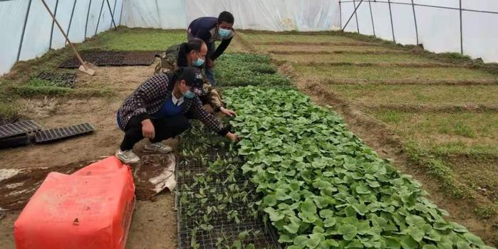 策勒最新招聘啟航人才新篇章，學習變化，擁抱自信與成就，啟程人生新征程！